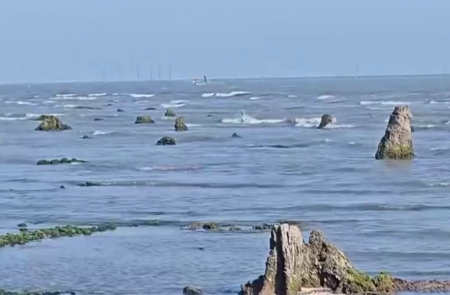 Azərbaycanda dəniz geri çəkildi, meşə zolağı ortaya çıxdı - FOTO