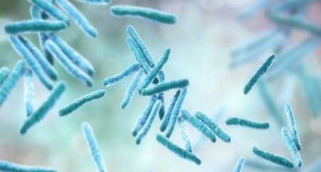 ABŞ-da ağır xəstəliyin yayılması nəticəsində 31 uşaq xəstəxanaya yerləşdirilib ABŞ-da ağır xəstəliyin yayılması nəticəsində 31 uşaq xəstəxanaya yerləşdirilib