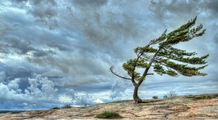 Bu gün axşam güclü külək başlayacaq - XƏBƏRDARLIQ Bu gün axşam güclü külək başlayacaq - XƏBƏRDARLIQ