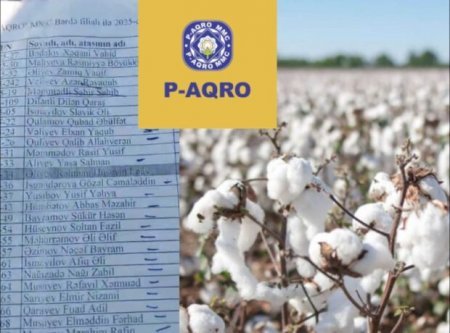 “P-Aqro” MMC onlarla fermerin pambığını alıb, pulunu vermir –  Vətəndaşlardan ŞİKAYƏT…VİDEO