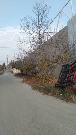 Saray qəsəbəsində Parket Fabrikinin tikintisinə necə icazə verilib?! –FOTOLAR+VİDEO