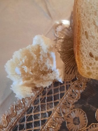 Çörəyimizə haram qatanlar... - FOTOLAR