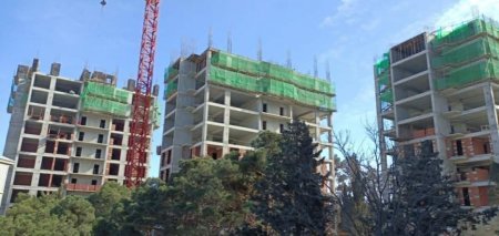 “Park Əcəmi” yaşayış kompleksinin tikintisi zamanı ağaclar hansı şərtlərlə kəsilib? Fotofakt
