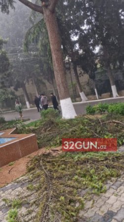 Azərbaycan Texnologiya Universitetində "EKOLOJİ TERROR": Rektor Yaşar Ömərov yaşıllıqları məhv etdirir? - FOTO+VİDEOFAKT