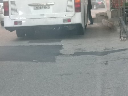 Cənab Nəsirli də YAMAQÇILIQLA məşğuldur... - FOTOFAKT
