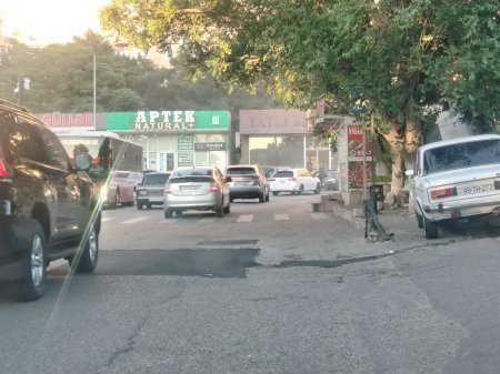 Cənab Nəsirli də YAMAQÇILIQLA məşğuldur... - FOTOFAKT
