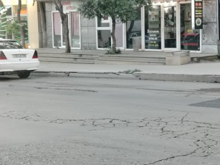 Cənab Nəsirli də YAMAQÇILIQLA məşğuldur... - FOTOFAKT